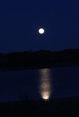 Fuldmåne spejler sig i Hjarbæk Fjord